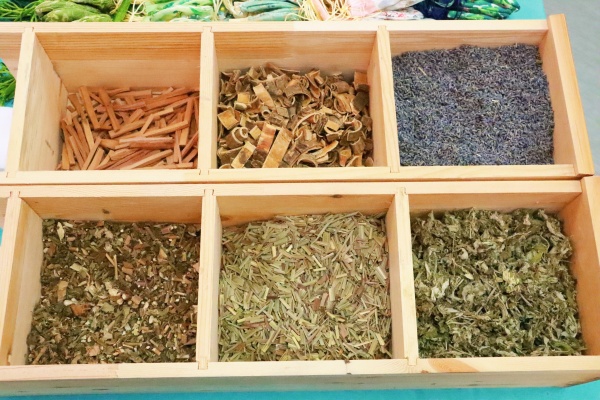 t(y)|۾St(y)Ժekt(y)x\