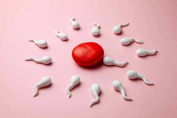 人工授精,人工授精受孕率,人工授精妊娠率